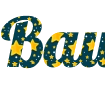 Yıldızlı arka planlı logo yazısı oluştur - Lobster png formatı